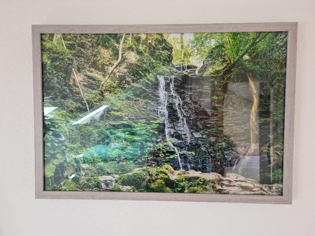Ferienhaus Finca De Vida Y Luz Auderath Dış mekan fotoğraf